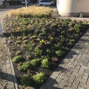 Showtuin Aartselaar overzicht voorjaar 2020 Showtuin rreac04 Publiek Aartselaar overzicht voorjaar 2020